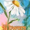 Flowers Coloring eBook – 30 Beautiful Floral Designs for Relaxation & Creativity!